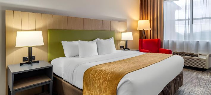 Comfort Inn & Suites Cartersville - Emerson Lake Point Hotels in Bartow County
