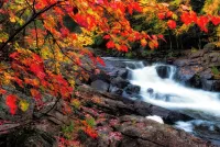 Enchanted Forest - Your Superior/Duluth Getaway