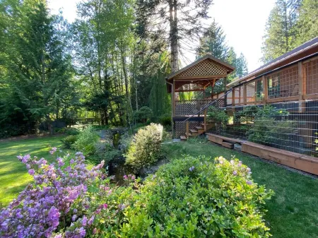 Feel at home in the mountains by a creek w/hot-tub