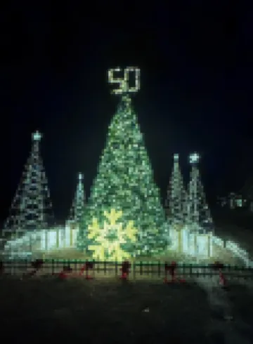 Grand Re-opening Sanddollar C102 3 BR with a king, a queen and 2 bunk bed sets.