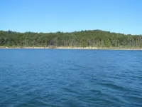 Cabin Rental - Lake Norfork - Mountain Home, Arkansas - 3 minute walk to lake!
