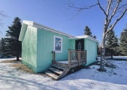 Spacious Guest House with Sauna, 5+ beds, Near Katmai!