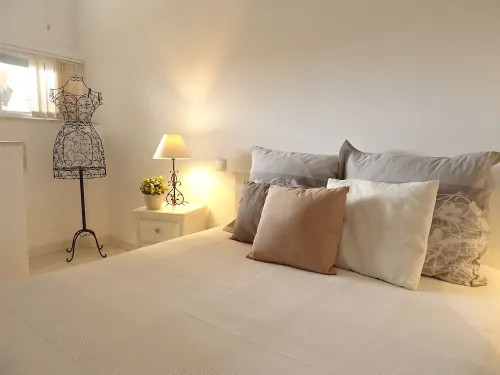 Charming village house Hotel a Bages