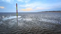 Apartment Koje in Schillg, walking distance to the beach, WLAN, parking, Sky