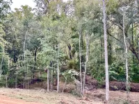 Cozy 2br Bear Den Cabin in Campobello SC, on the upcoming Saluda Grade Trail.