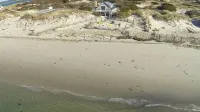 7 Bed - Private Beach - Ocean Front w/Boat Moorings - Fully Remodeled