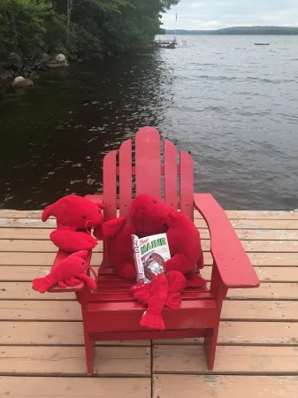 Lakefront cabin with spectacular sunsets included