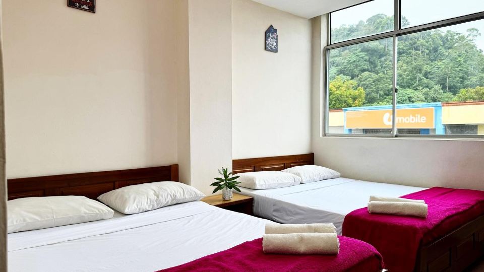 Town Inn Hotel - Rainforest