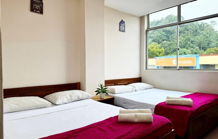 Town Inn Hotel - Rainforest