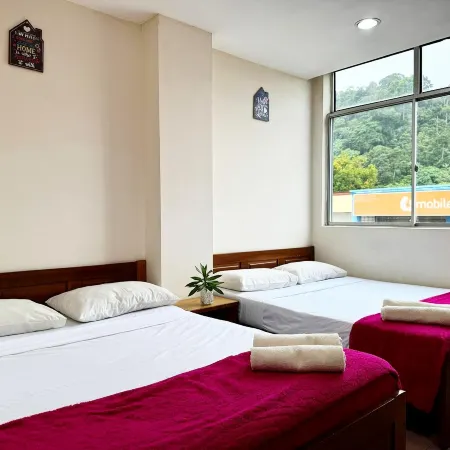 Town Inn Hotel - Rainforest
