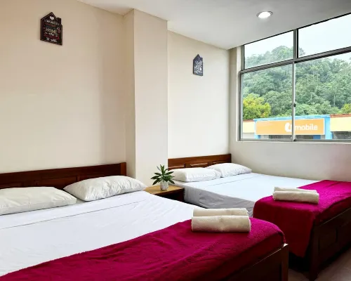 Town Inn Hotel - Rainforest Hotels in Jerantut