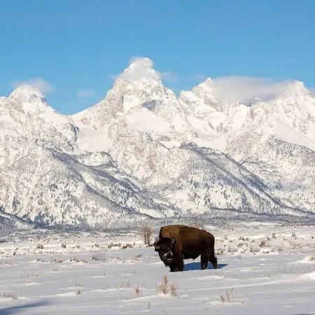 Great Views, Great Location, Newly Renovated & Furnished, Jackson Hole Condo !!