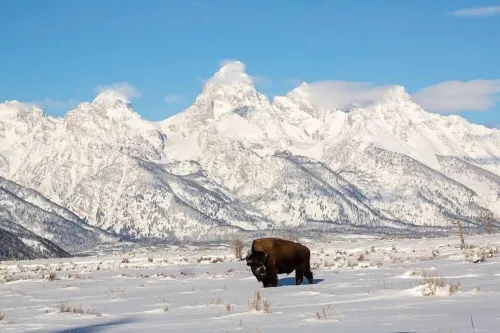 Great Views, Great Location, Newly Renovated & Furnished, Jackson Hole Condo !! Hotels in Wilson