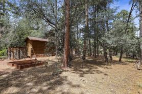 A real log cabin in the pines!