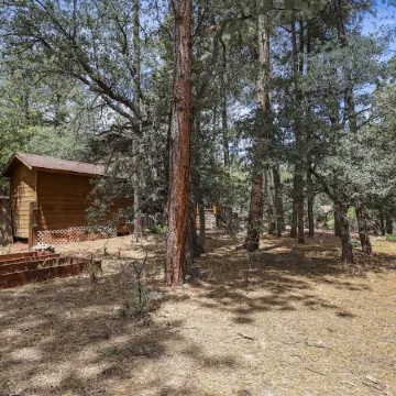A real log cabin in the pines!