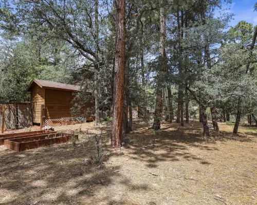 A real log cabin in the pines! Hotels in Pine