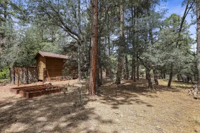 A real log cabin in the pines!