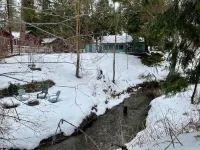 Sequoias Creekside2/Cozy Garden Cabin