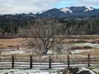 Relax and recharge in a place that feels remote but it just minutes from town.