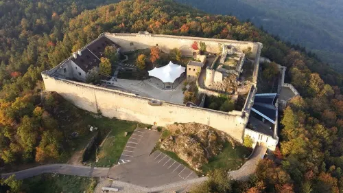 Vineyard flower Eguisheim quiet, 3 min walk from the center