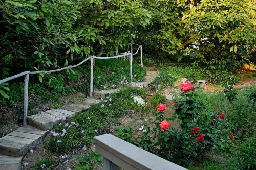 Enjoy A Spectacular Sunset!