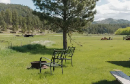 Welcome to Canyon Wren!