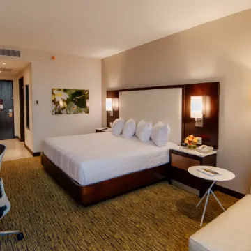 Hilton Garden Inn Puebla Angelópolis