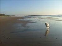 Cosy cottage with delightful private garden and summerhouse.