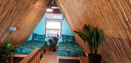 Polynesian Paradise - Summer Specials!