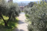 HOUSE WITH GARDEN ON THE TUSCAN HILLS about 20 minutes from the sea WI-FI FREE