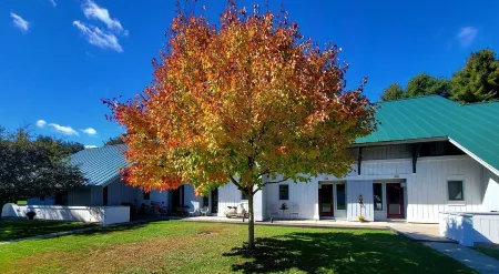 The perfect adult couples retreat. 2-king bedroom right along the Mountain Road.