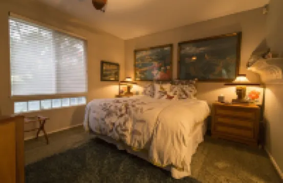 Three bedroom/three bath resort style home with saltwater pool and spa