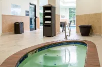 Embassy Suites by Hilton Seattle Tacoma International Airport - Badekar