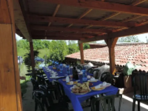 Isolated on hill, flat with terrace,garden among romanesque art,quiet,nature Hotels in Cocconato