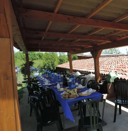 Isolated on hill, flat with terrace,garden among romanesque art,quiet,nature