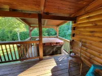 Black Bear Cabin, private and secluded!
