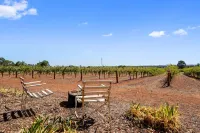 Boutique accommodation peacefully set amongst you're own private vineyard