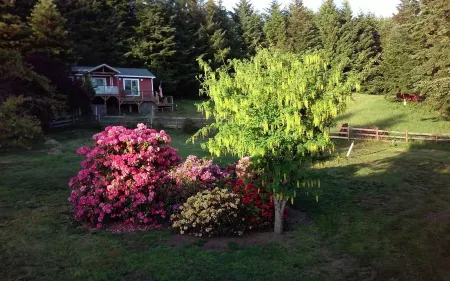 Romantic Ocean View Cottage with Starry Night Sky Gazing!