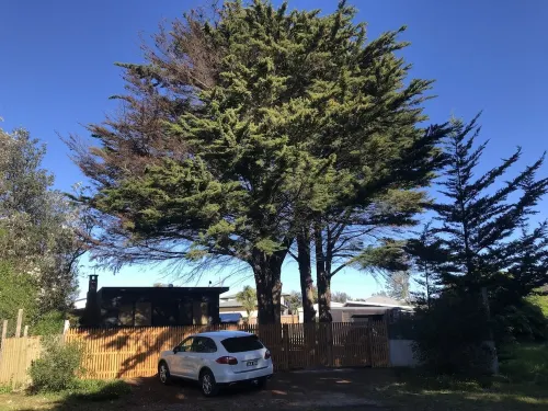 BEACH SHACK retreat w/bungalow in The Honeysuckles -  Behind the ocean!