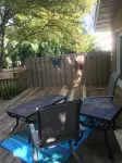 Warm and cozy property<br>2 miles to Mayo and St. Mary’s. 4 bedrooms, 3 bathrooms.<br> Hotels near Walmart Supercenter