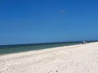 Beachfront Condo Steps to Beach! Incredible View of the Gulf of Mexico!