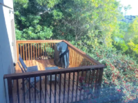 Cozy Studio In The Hills Of Mill Valley. Hotels in Mill Valley