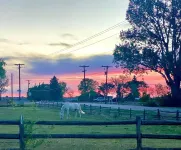 Tilted Rooster Ranch Guesthouse - 5 Minutes from Airport & 10 From Downtown