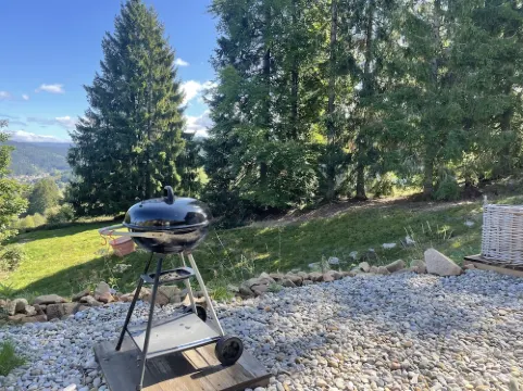 La Gallerie Du Domaine des Lupins