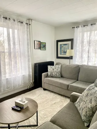 Mint Vintage 2 bed apt Walk to the locks Sault USA Отели в г. Чиппева