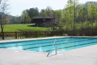 Summertime at Creek! Birds, Ducks, Close to Pigeon Forge
