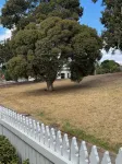 Olinda Cottage - Close to CBD with city views