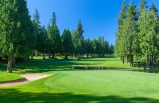 Spacious, family friendly, great for hosting w/ large island, quite & peaceful!