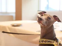 Dog Spa Resort Altopiano