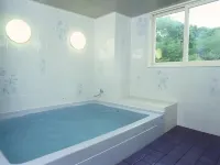 Hakuba King Hotel Hotels in Otari